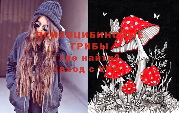 ешки Карпинск