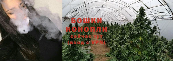 ешки Карпинск