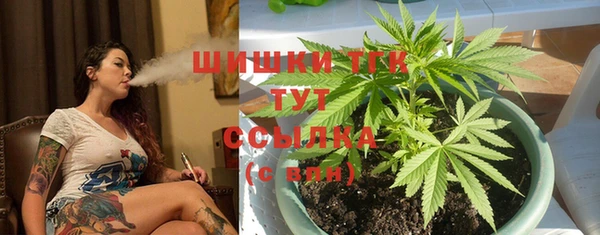 PSILOCYBIN Касимов