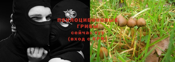ешки Карпинск