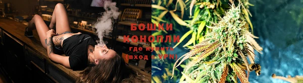 PSILOCYBIN Касимов