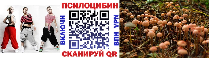 Галлюциногенные грибы прущие грибы  Купить где  Карасук 